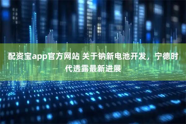 配资宝app官方网站 关于钠新电池开发，宁德时代透露最新进展