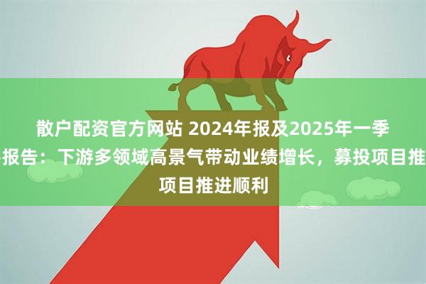 散户配资官方网站 2024年报及2025年一季报点评报告：下游多领域高景气带动业绩增长，募投项目推进顺利