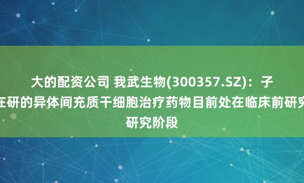 大的配资公司 我武生物(300357.SZ)：子公司在研的异体间充质干细胞治疗药物目前处在临床前研究阶段